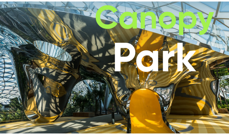 Cẩm Nang Khám Phá Jewel Changi Từ A Đến Z