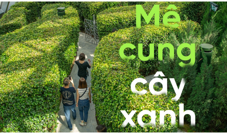 Cẩm Nang Khám Phá Jewel Changi Từ A Đến Z