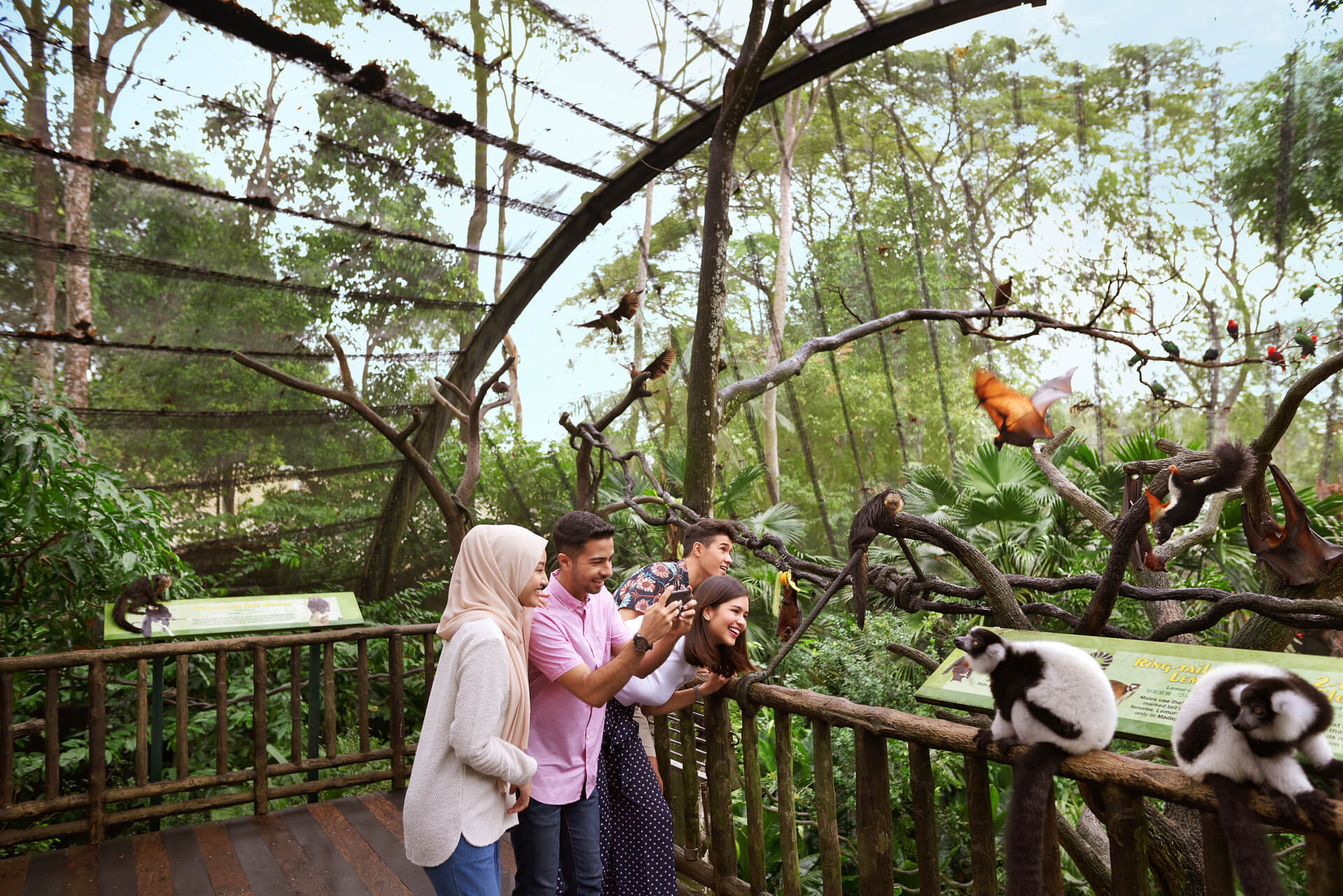 Singapore Zoo Ở Đâu Và Có Gì Đặc Biệt