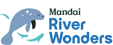 Mandai River Wonders