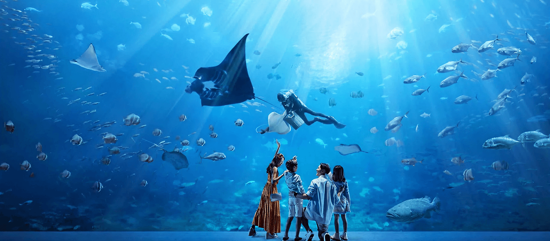 Mandai River Wonders