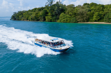 Albatross Speedboat Adventures