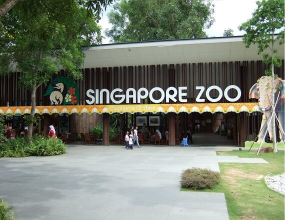 Singapore Zoo + Tram - Vườn Thú Singapore (Có Kèm Vé Xe Điện Tham Quan)