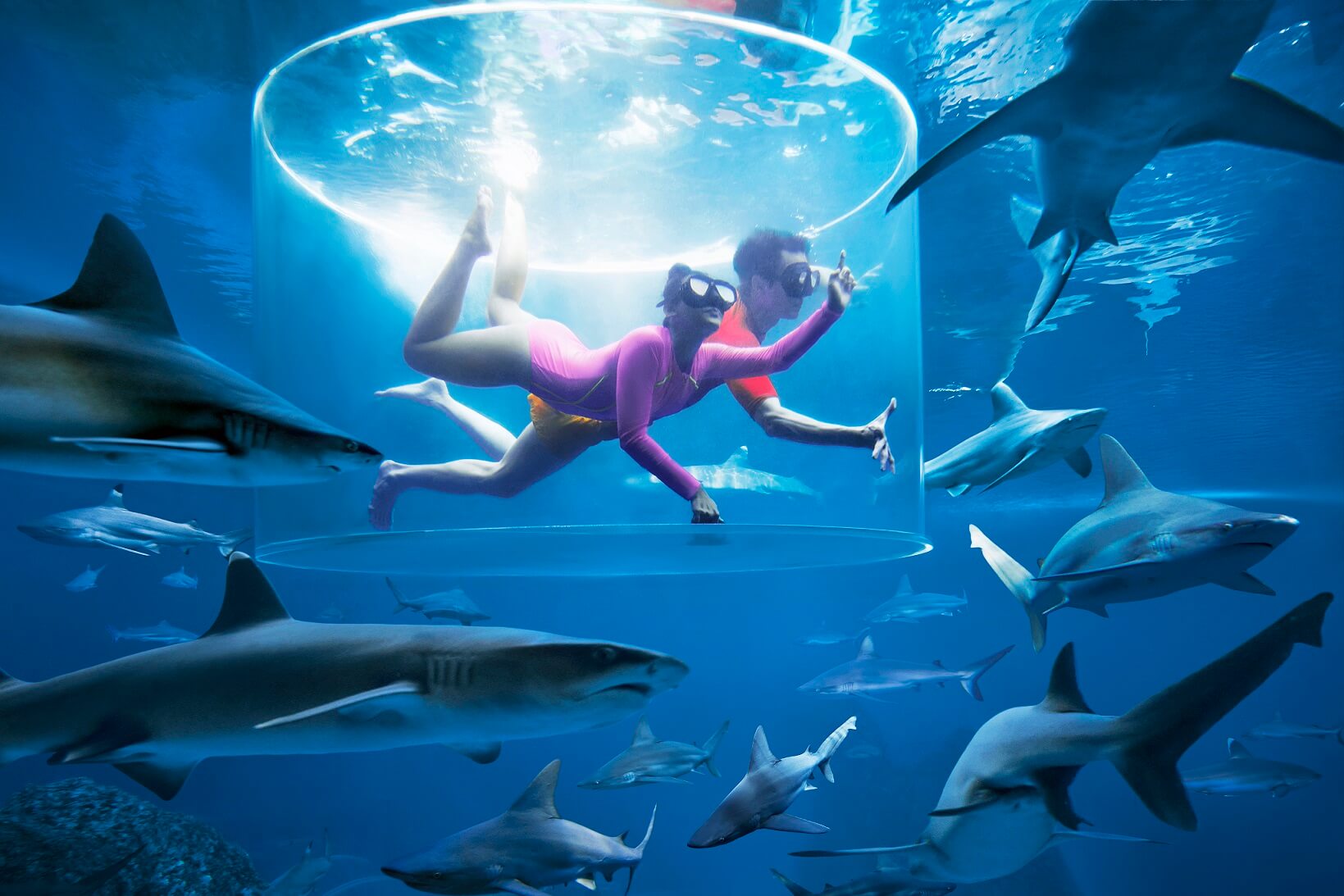 Adventure Cove Waterpark