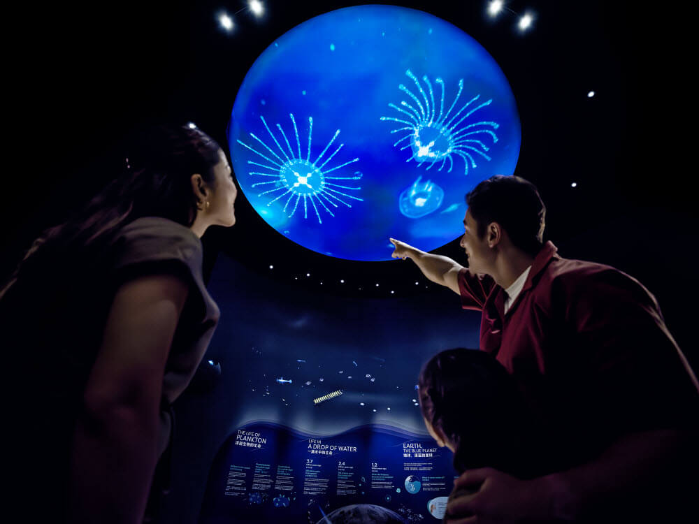 Singapore Oceanarium - Peak (Weekend)